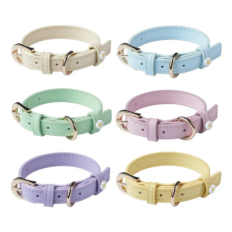 Carefully selected New Daisy cat accessory collars Ultra-light and elegant pet collars, suitable for all seasons and festivals