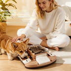Plastic pet intelligent toy dog food slow feeding bowl, press-type sliding lid, can relieve the boredom of cats and dogs