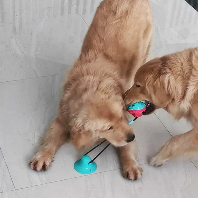 Dog chew toy, with food leakage function, with suction cup, chew-resistant, wear-resistant, suitable for chewing and playing, pet supplies accessories