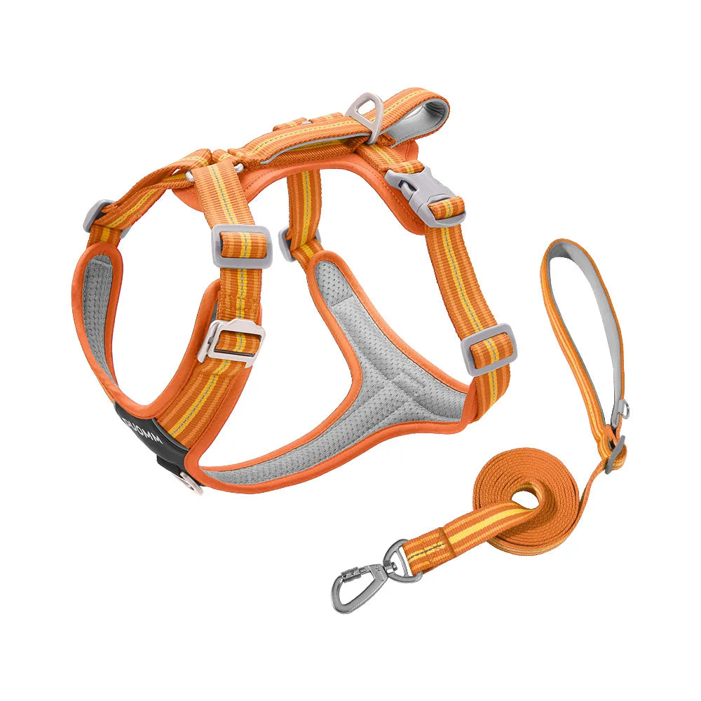 Dog Leash Shock Absorbing Nylon Sports Fashion Pet Harness Outdoor Adjustable Environmental Protection Reflective Wear-Resistant Two-in-One