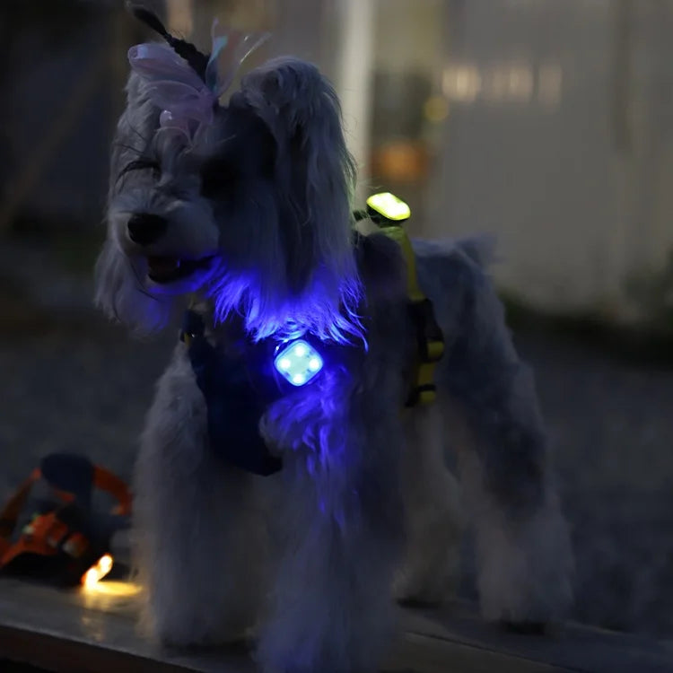 Modern plastic square LED pet luminous pendant - eco-friendly outdoor night safety light, suitable for preventing pets from getting lost during dog night walks