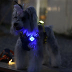 Modern plastic square LED pet luminous pendant - eco-friendly outdoor night safety light, suitable for preventing pets from getting lost during dog night walks