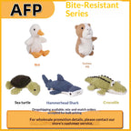 Pet dog plush chew toy, with squeaking sound, can relieve boredom and provide interactive fun