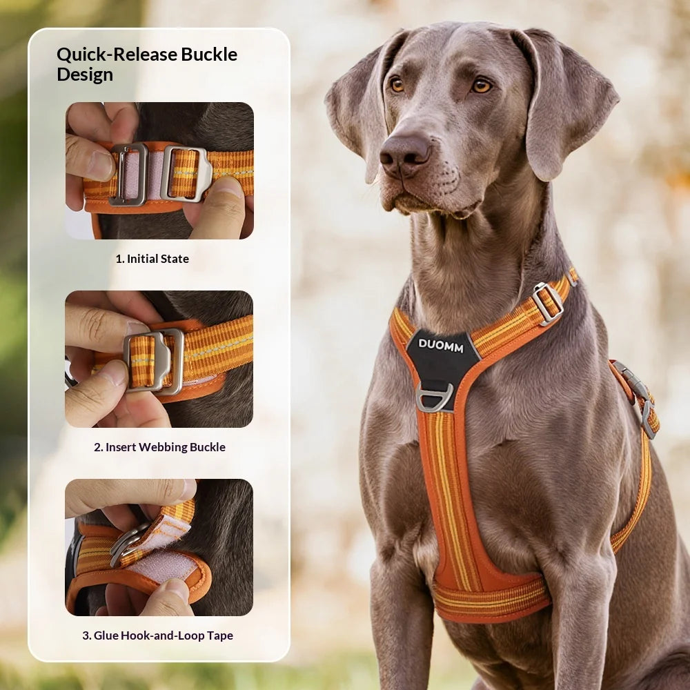 Dog Leash Shock Absorbing Nylon Sports Fashion Pet Harness Outdoor Adjustable Environmental Protection Reflective Wear-Resistant Two-in-One