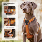 Dog Leash Shock Absorbing Nylon Sports Fashion Pet Harness Outdoor Adjustable Environmental Protection Reflective Wear-Resistant Two-in-One