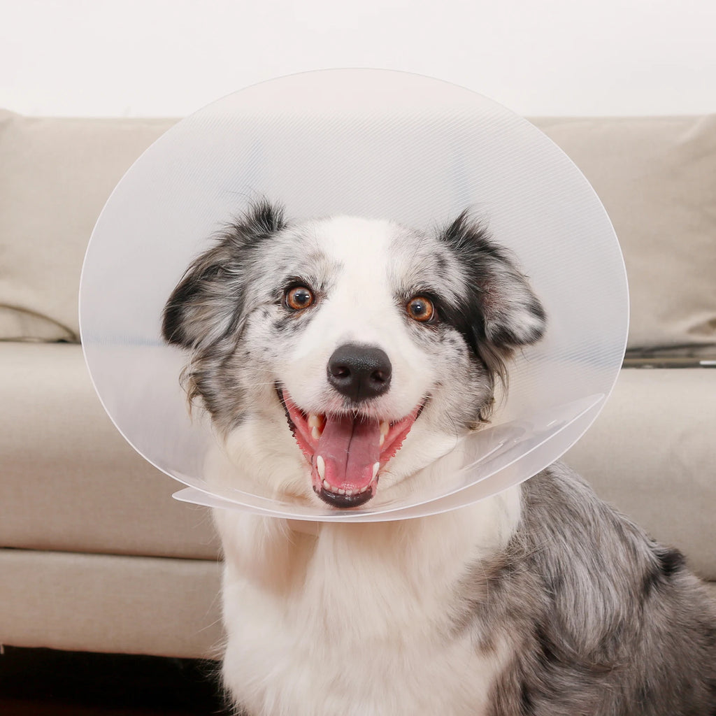 Adjustable lightweight Elizabethan dog collar, comfortable plastic soft dog cone for postoperative recovery