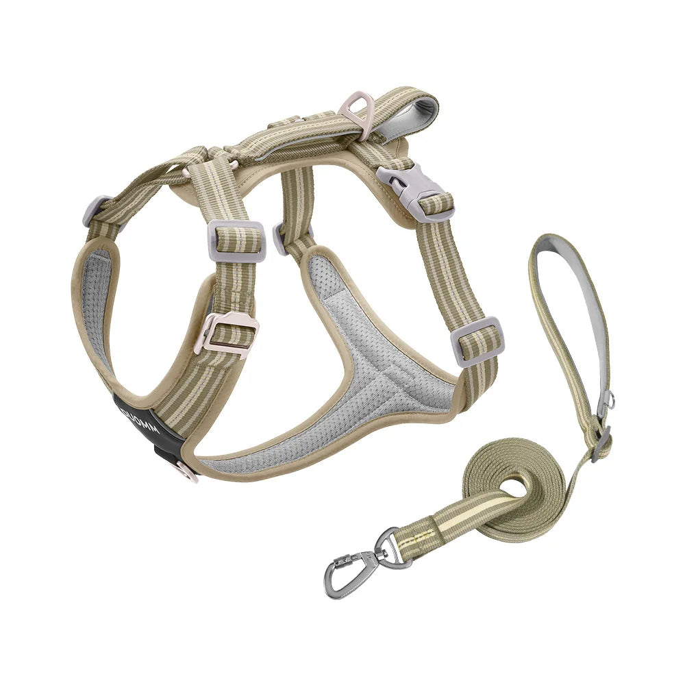 Dog Leash Shock Absorbing Nylon Sports Fashion Pet Harness Outdoor Adjustable Environmental Protection Reflective Wear-Resistant Two-in-One