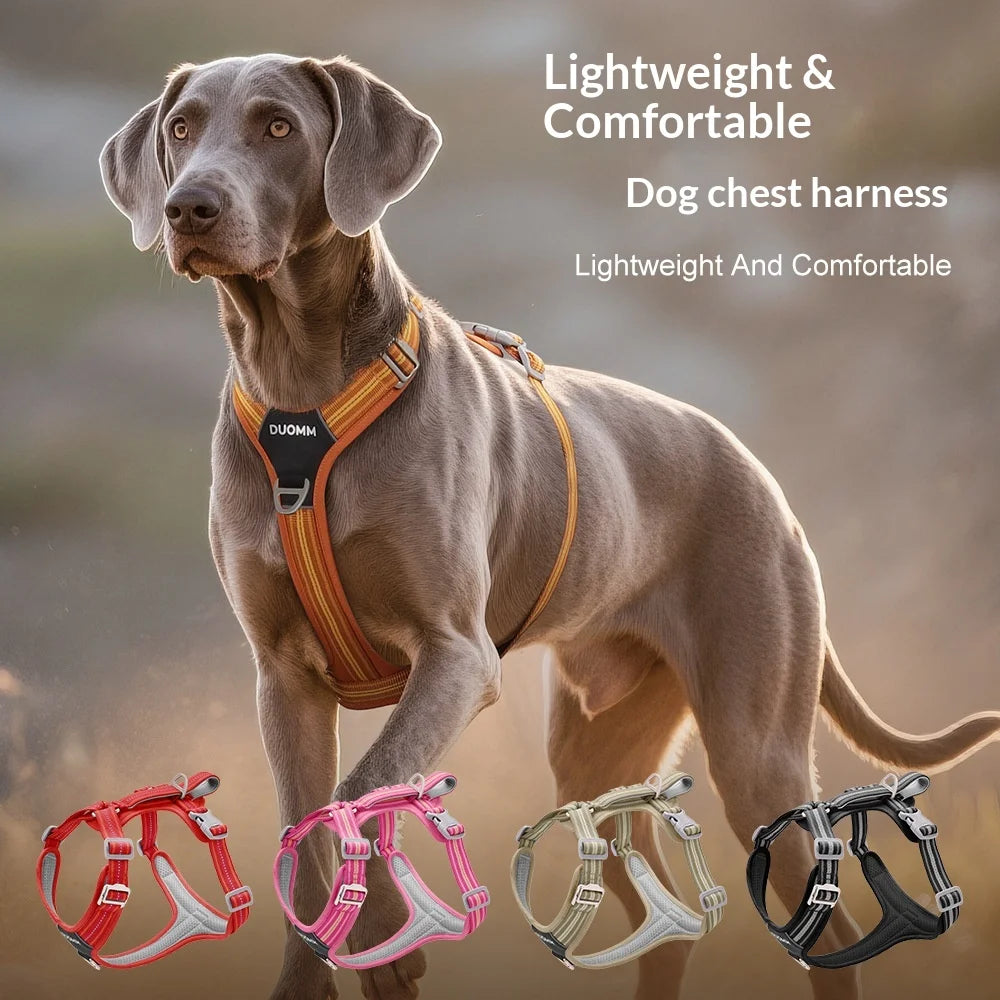 Dog Leash Shock Absorbing Nylon Sports Fashion Pet Harness Outdoor Adjustable Environmental Protection Reflective Wear-Resistant Two-in-One
