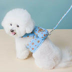 Logo breathable mesh padded vest floral print personalized no-tension luxury adjustable collar belt pet harness