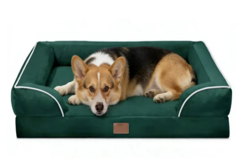 Premium pet bed dog sofa with luxury non-slip base, removable orthopedic large dog bed, washable