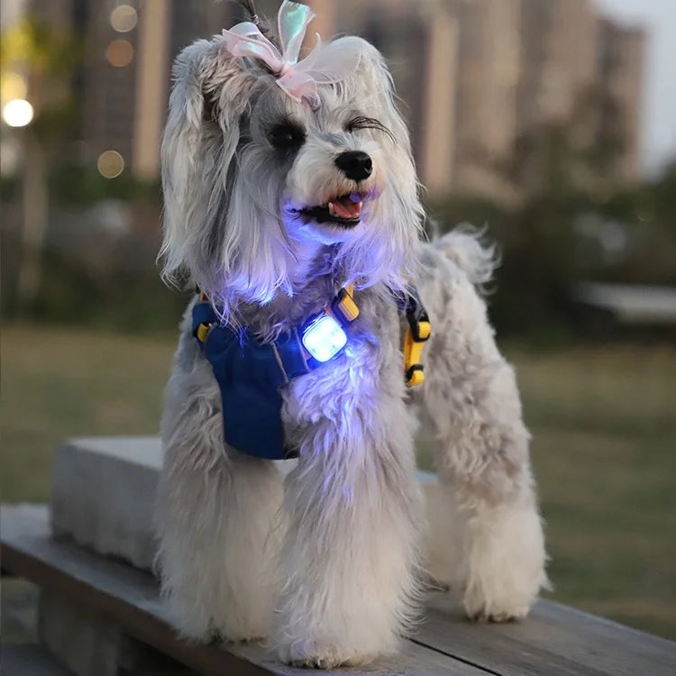 Modern plastic square LED pet luminous pendant - eco-friendly outdoor night safety light, suitable for preventing pets from getting lost during dog night walks