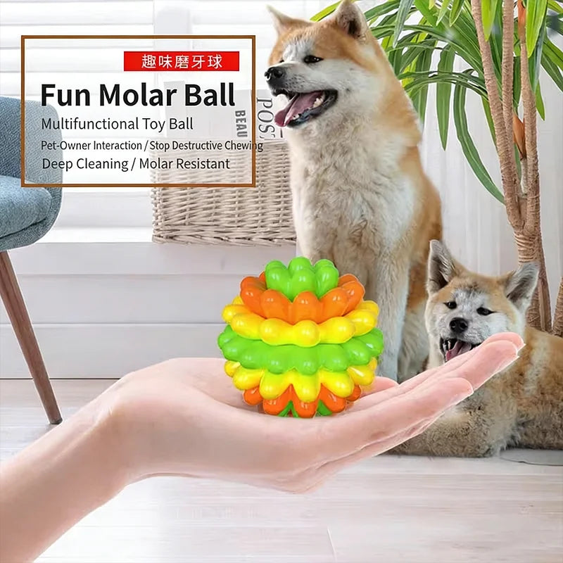 Dog toy ball chew stick, chew-resistant and bite-resistant pet toy, suitable for small and medium-sized puppies, can relieve boredom and release energy