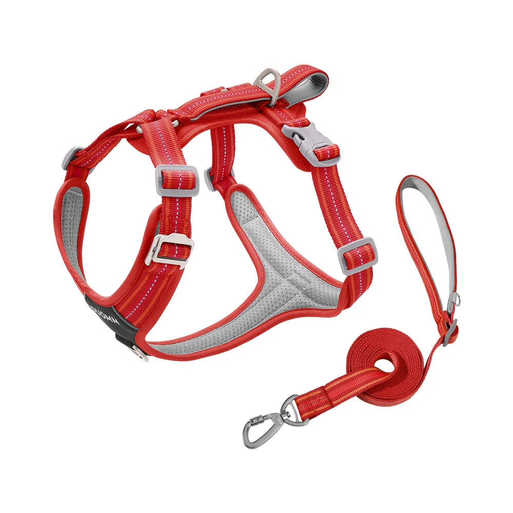 Dog Leash Shock Absorbing Nylon Sports Fashion Pet Harness Outdoor Adjustable Environmental Protection Reflective Wear-Resistant Two-in-One