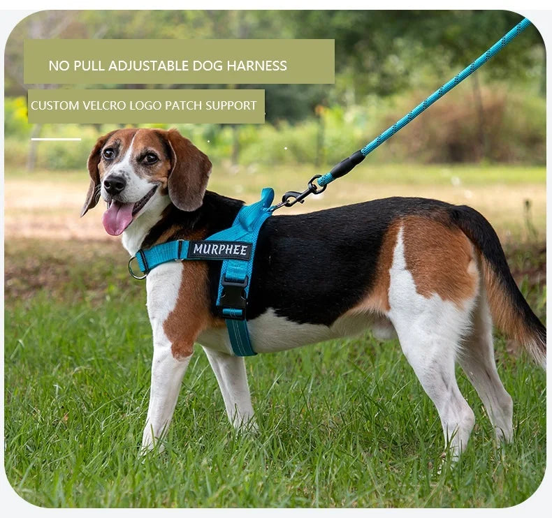 Personalized Veltrio Pettorina Adjustable Non-slip Dog Harness Triangular Reflective Vest with Custom Name Patch