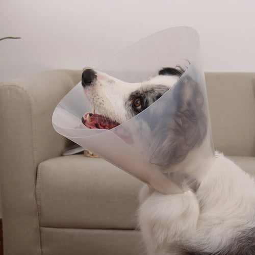 Adjustable lightweight Elizabethan dog collar, comfortable plastic soft dog cone for postoperative recovery